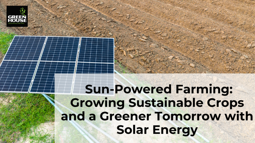 Sun-Powered Farming: Growing Sustainable Crops and a Greener Tomorrow with Solar Energy